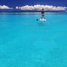 okinawa-photographのプロフィール画像