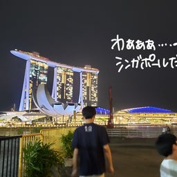 画像 【我が家二度目の海外旅行】シンガポールに行ってました！ の記事より 10つ目