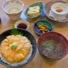 【まだまだ美味しいもの食べ尽くし！】真冬の函館旅行＜後編＞の画像